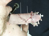 Nadeln durch Schwanz  Needles through Cock CBT Hart!