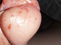 Futter für  hungrige maggots  extrem pervers