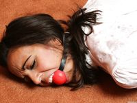 Tied Sexy Beauties 253-2