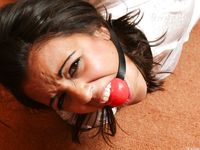 Tied Sexy Beauties 253-3