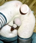 Membo1 arse with big Lovetoy dildo