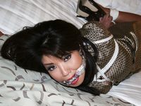 Tied Sexy Beauties 313-2