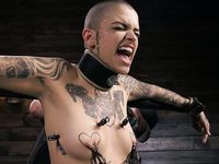 my perfect slave view