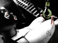 my perfect slave view