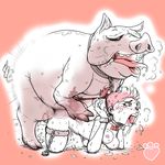 PIG FACE OF SLAVESLUT2