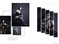 Destroying an enemy spy organization（previewed edition）