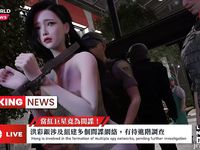 Destroying an enemy spy organization（previewed edition）