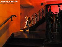 magnificent bondage 295