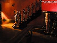 magnificent bondage 295