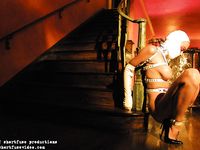 magnificent bondage 295