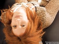 magnificent bondage 343