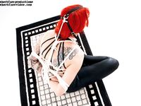 magnificent bondage 376