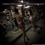 Destroying an enemy spy organization 13