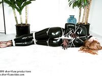 magnificent bondage 495