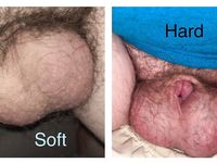 Own and control Fag Joseph Ray Lee