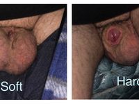 Own and control Fag Joseph Ray Lee