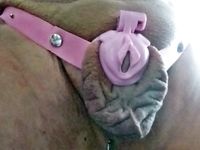 Completely without a penis and testicles, everything pushed