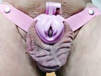 Completely without a penis and testicles, everything pushed