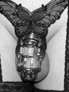 Fem-Sluts  Chastity Devices