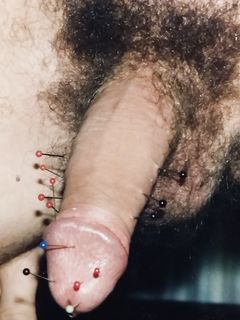 needled Cock