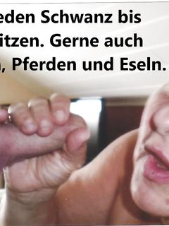 Ich bin die K9-F.O.T.Z.E. von Rheine.