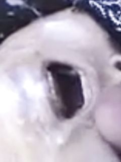 CHRISTINE  SALOPE PUTA HURE