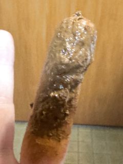 Für die geile Gitte aus Spelle