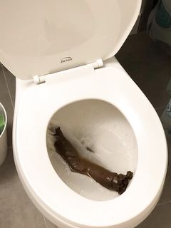 My huge turd