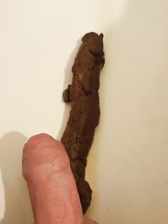 Me and my scat