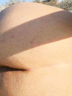 Davidasissy  2