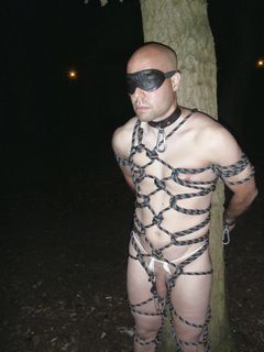 analpluggedpig is outdoors