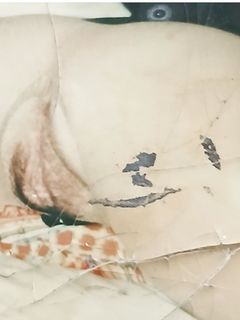 WHITE WORTHLESS WEBSLUTS WHORE CUNTS