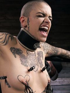 my perfect slave view