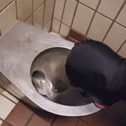 MisterToilet