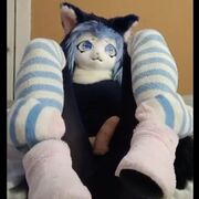 Fuzzysockwolf