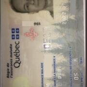 Micheldube245