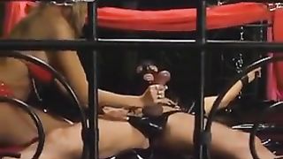 German Porn - Ein Arch voll Sahne