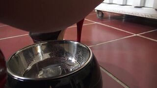 Cage slave has to drink piss after electro punishment!