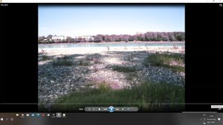Ich am Rhein in Köln Rodenkirchen