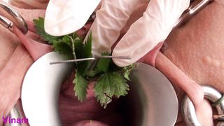 Nettles in pussy and peehole