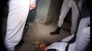 Kitkat Club - Avantgarde Extreme 53 – Scatwork Orange