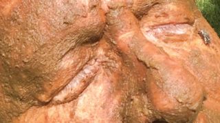 Black Man Feeds Faggot Shit Dinner Outdoors Black Man Feeds Faggot Shit Dinner Outdoors