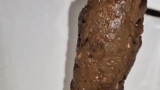 Three thick massive toilet logs