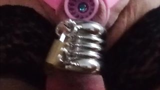 new chastity fish basket with metal rings and plug in urethra