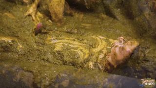 Green Is The New Orange - lesbian threesome in cowshit