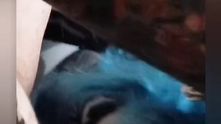 Privater Blowjob mit M.