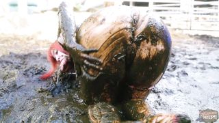 Shiny in cow dung - latex covered in cowshit
