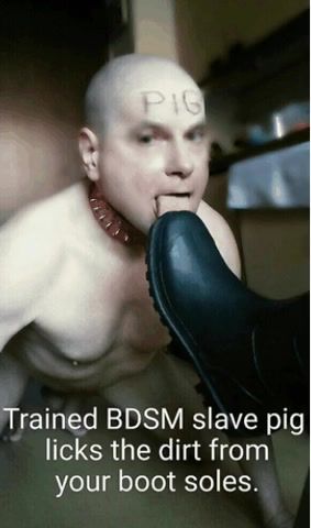 Slave pig licks the shit from mistress boots