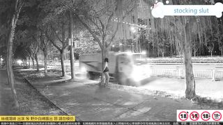 cleaner's amorous encounter 6