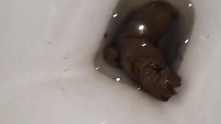 Four secret close up toilet logs